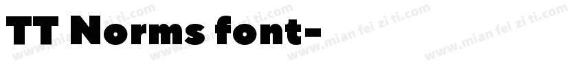 TT Norms font字体转换